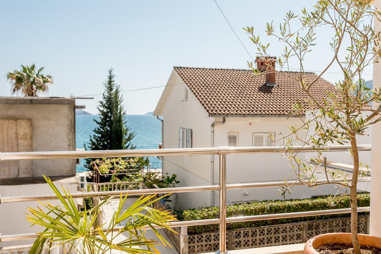 Maslina Herceg Novi